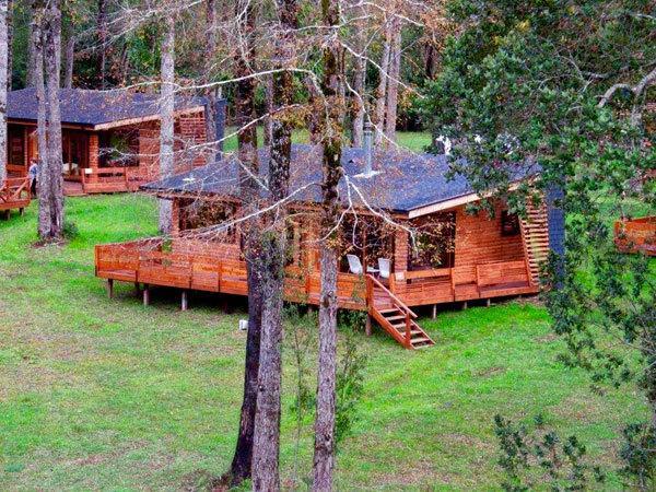 Lodge Lingues *