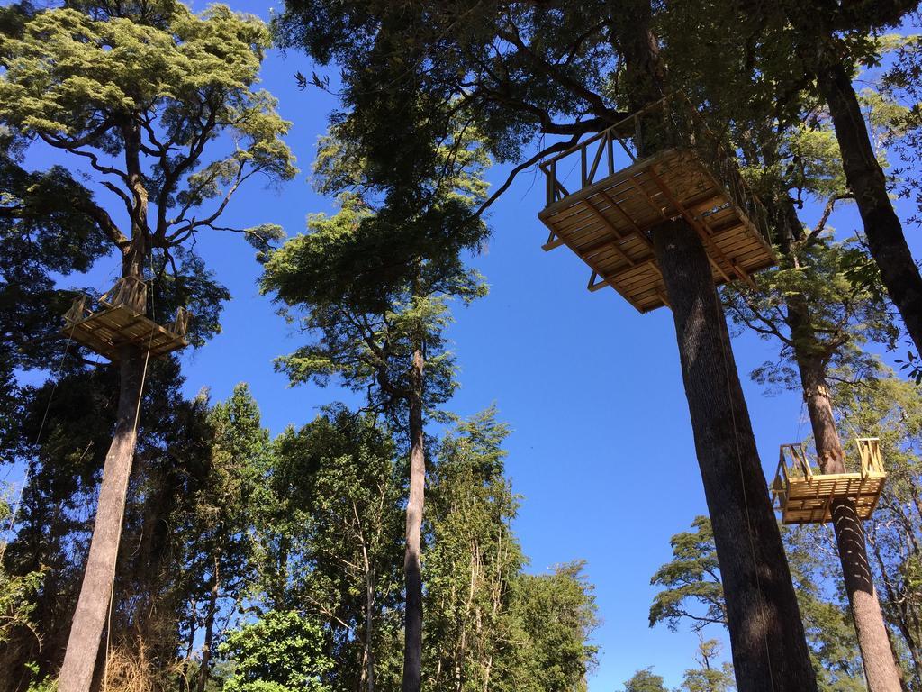 Lingues Lodge Puerto Octay