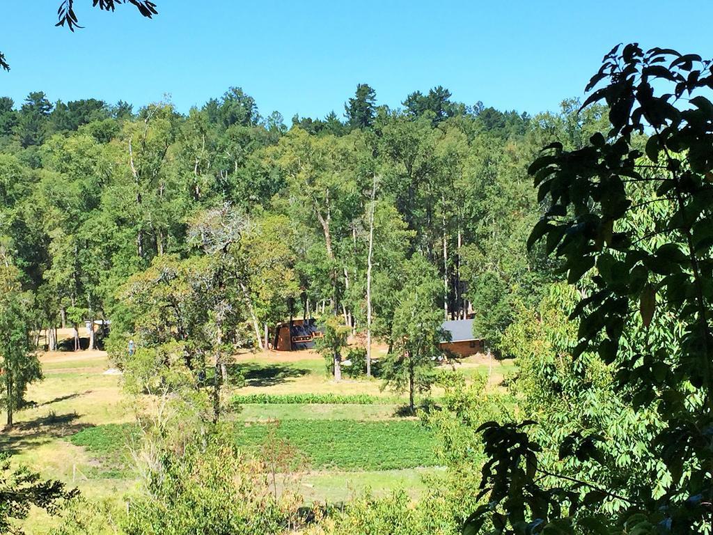 Lingues Lodge